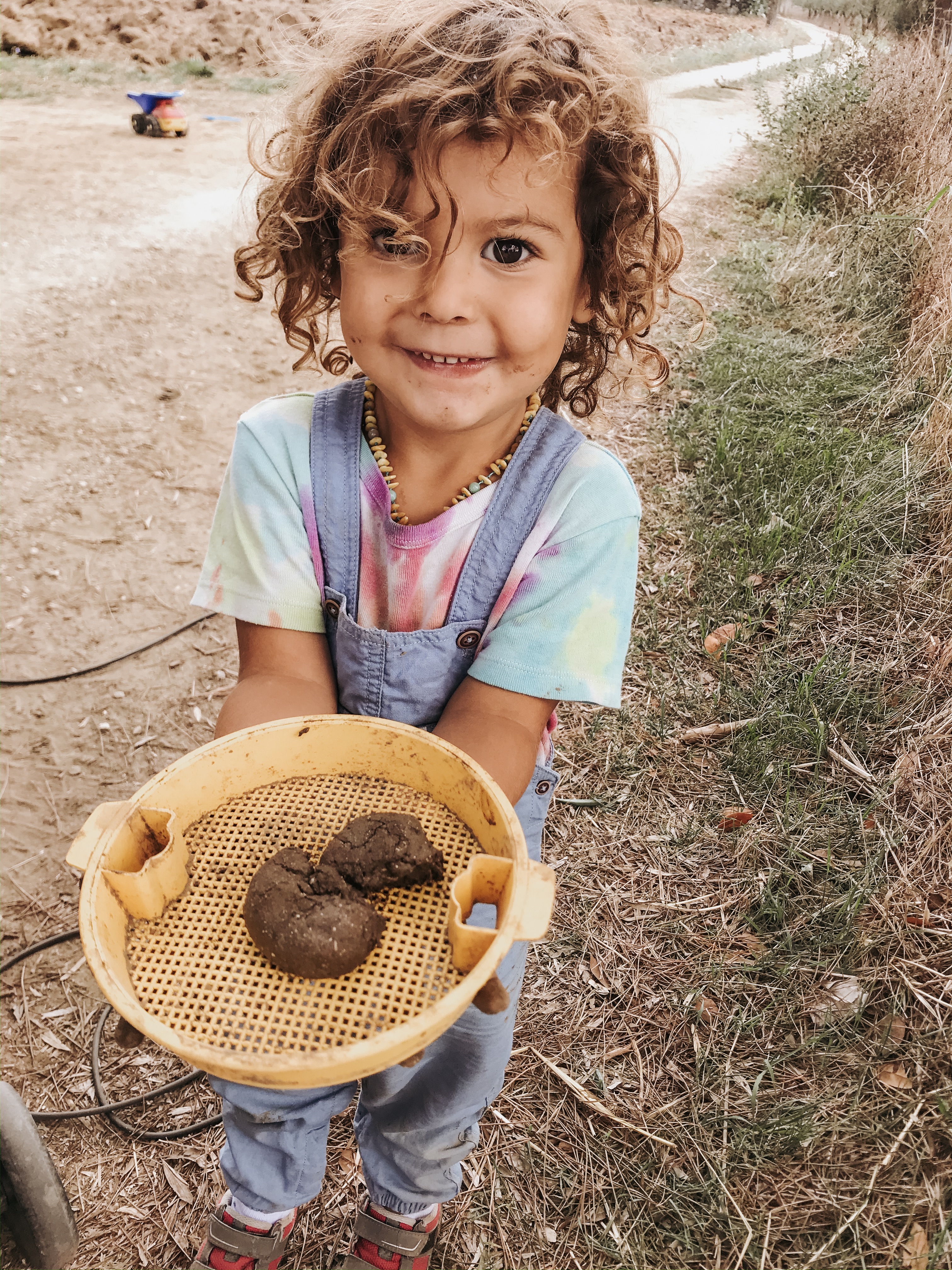 homeschooling, imparare, crescere, educare, waldorf, montessori, natura, libertà, emozioni, crescere, famiglia, bambini, istruzione, educare, scuola, casa, autonomia, vegan,