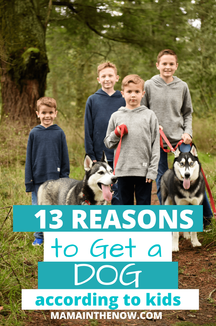 reasons to get a dog, according to kids