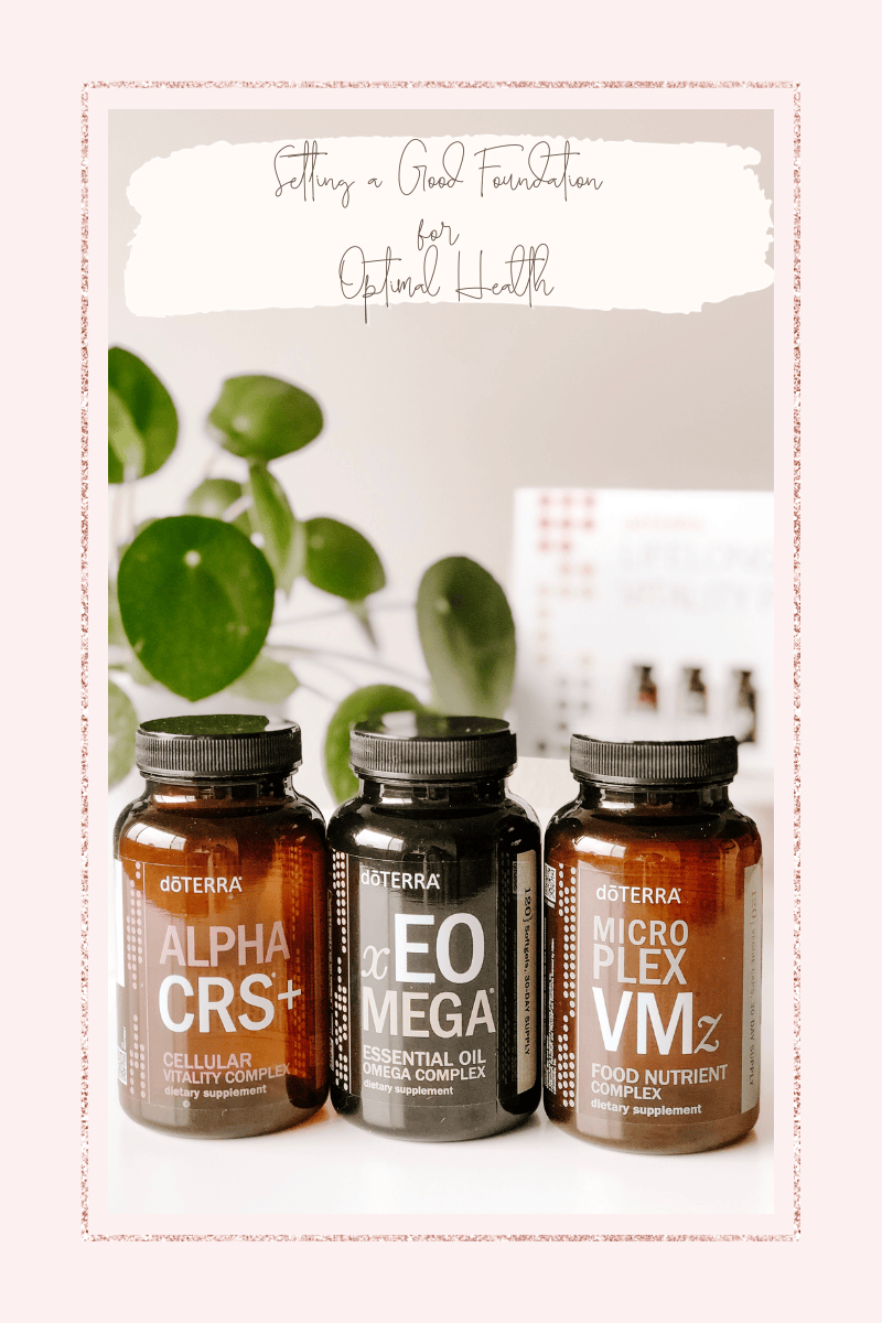 Lifelong Vitality for Foundational Health