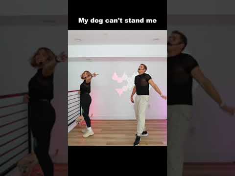 My dog ignoring me on live