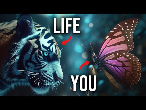 A Song About STRUGGLE and MENTAL STRENGTH You Must Hear Before It’s Too Late (Butterly Lyric Video)