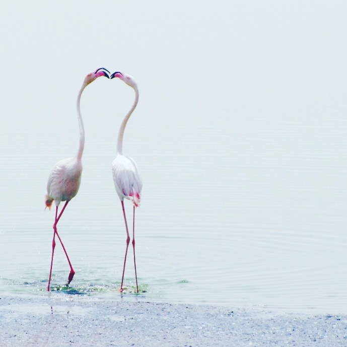 Processed with VSCO with f2 preset