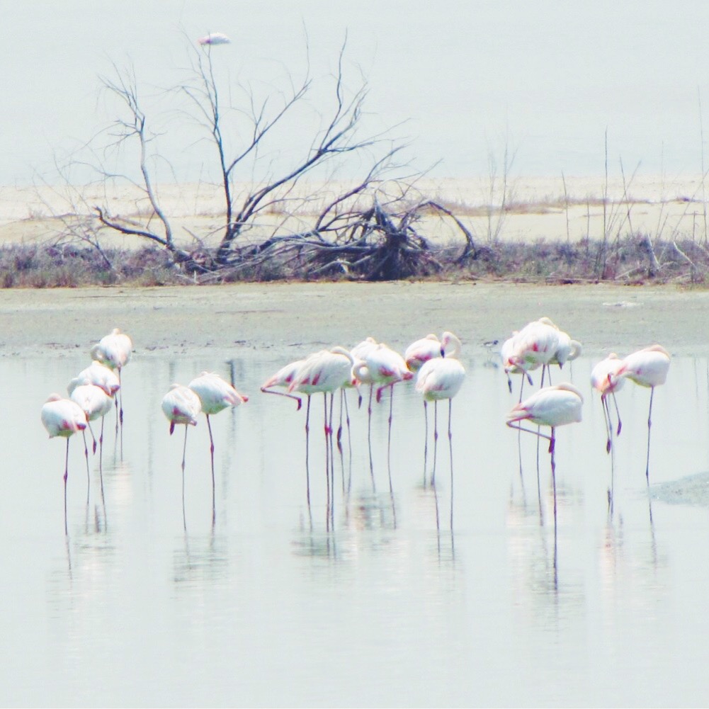 Processed with VSCO with f2 preset