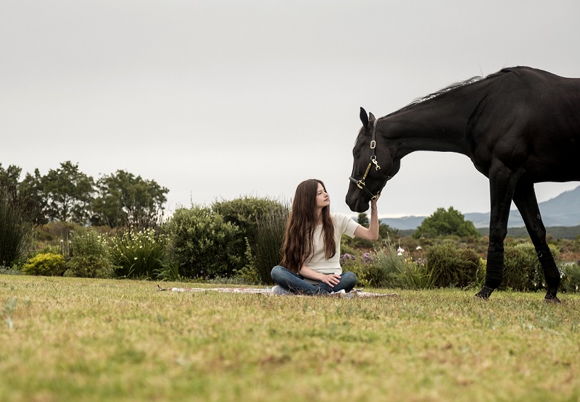 · over the course of my life my spirit has been . The Best Quotes From Black Beauty On Disney