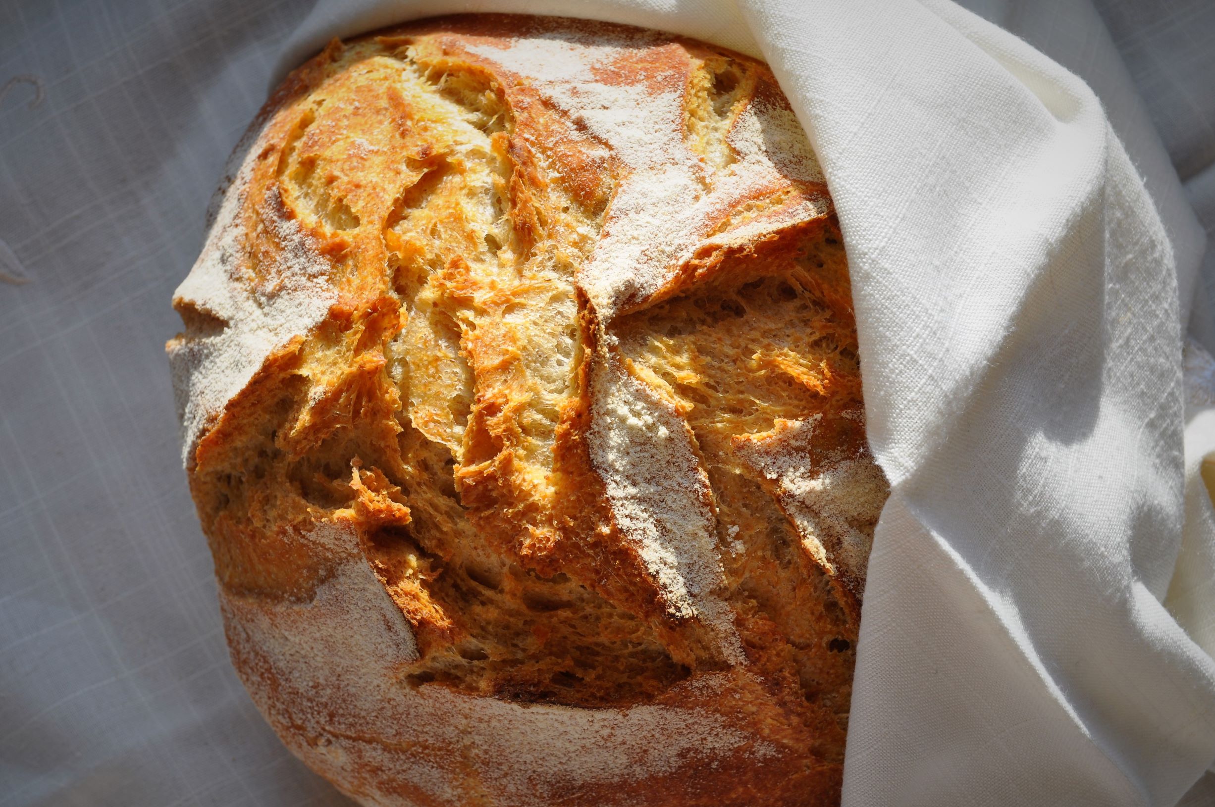 How to have fresh bread every day