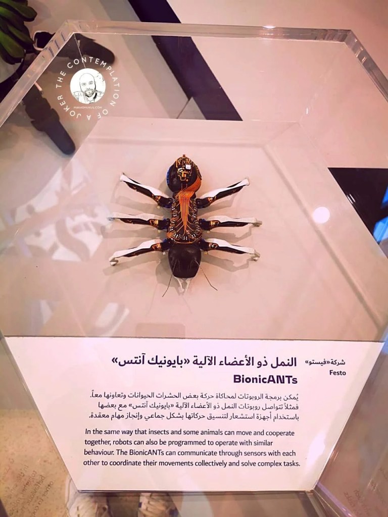 Museum of the Future - the most beautiful building on Earth ant