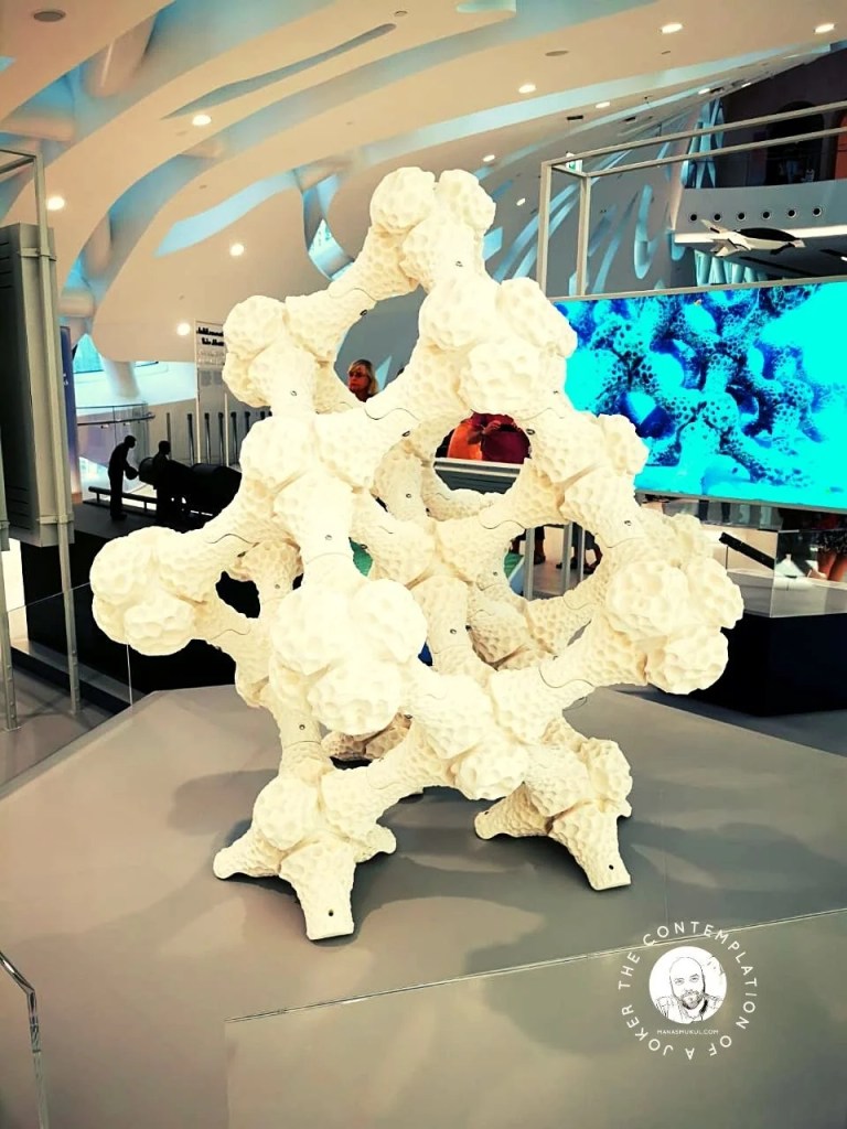 Museum of the Future - the most beautiful building on Earth reef