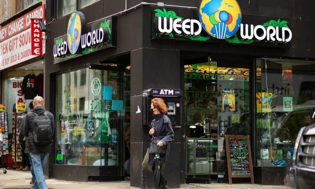 Primeira loja oficial de maconha em Nova York abre com filas