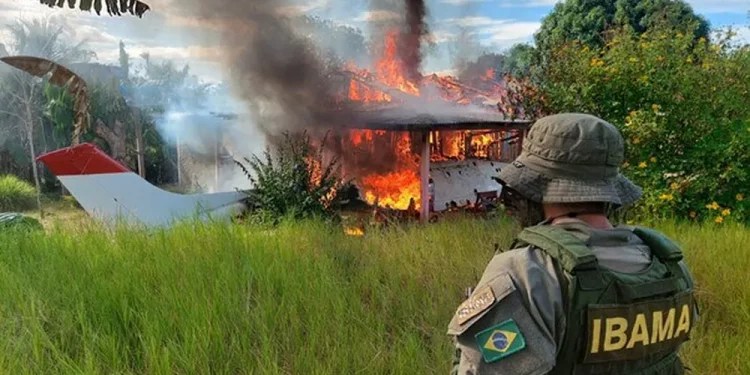 Governo autoriza contratação de 257 servidores para o Ibama