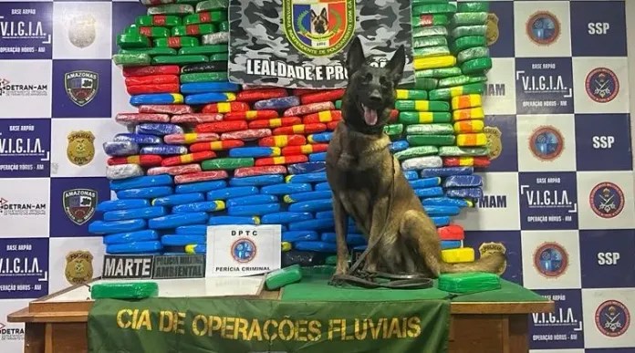 Homem é preso com mais de R$ 13 milhões em drogas escondidas em barco no Amazonas