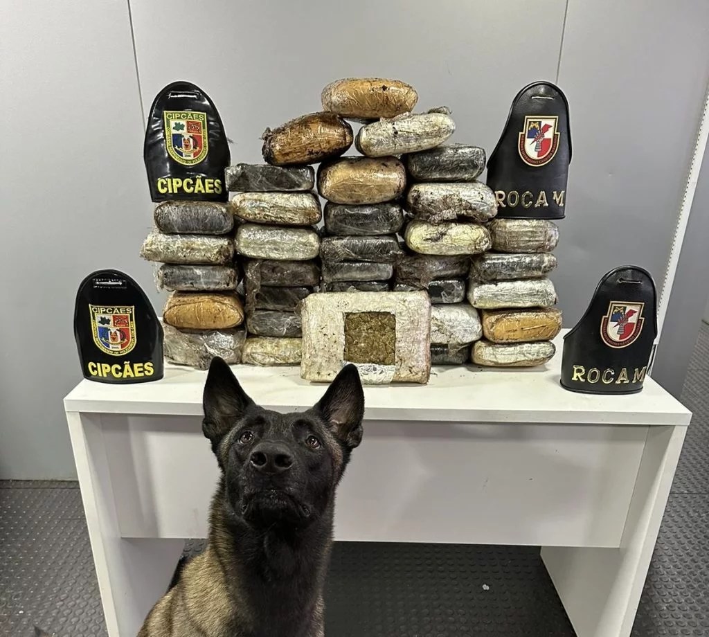 embarcação com drogas