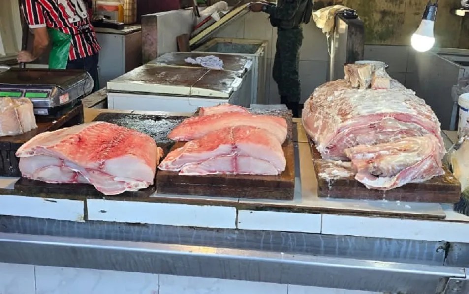 Polícia Militar do Amazonas