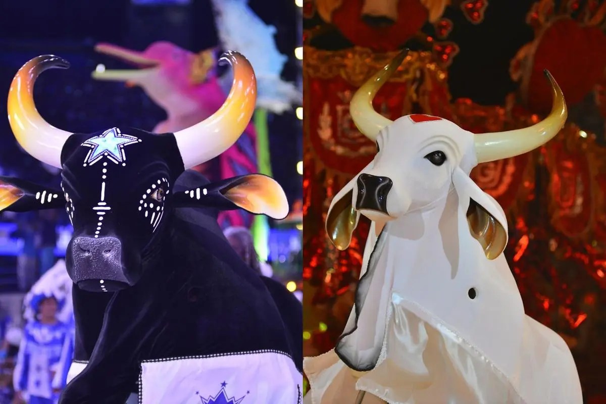 Último ato: Caprichoso e Garantido decidem hoje campeão do Festival de Parintins 2024