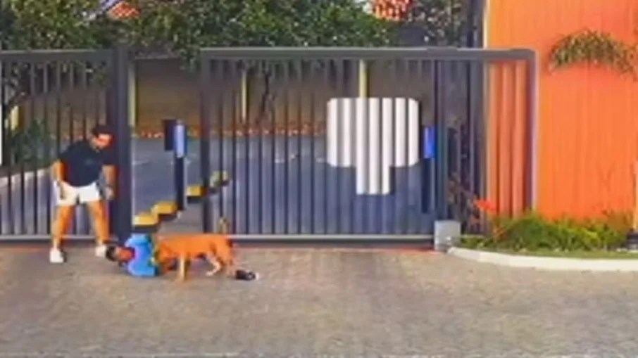 Reprodução/redes sociais Um porteiro foi atacado pelo animal