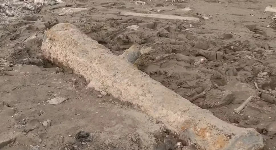 canhões da Coroa Portuguesa