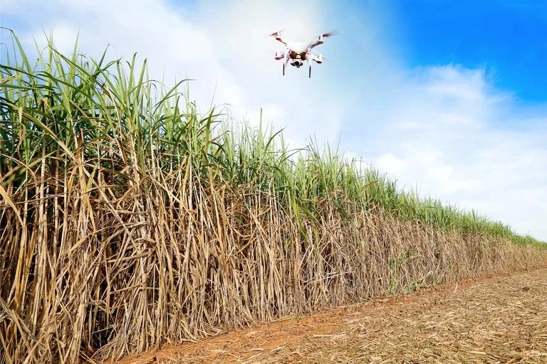 (Foto: Divulgação)