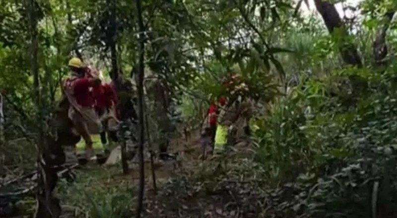 Corpo é encontrado em cova rasa em área da mata próximo da Constantino Nery em Manaus; vídeo