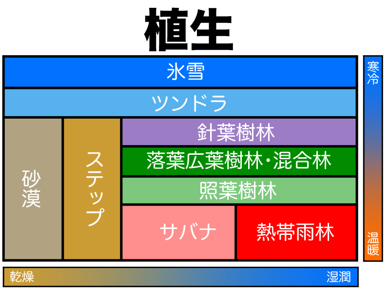植生