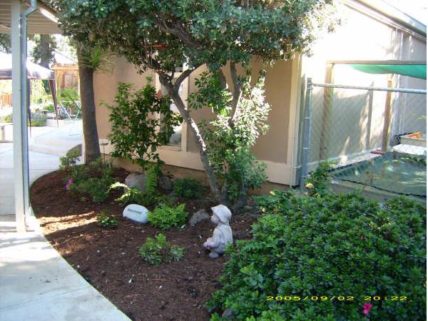 garden entry X