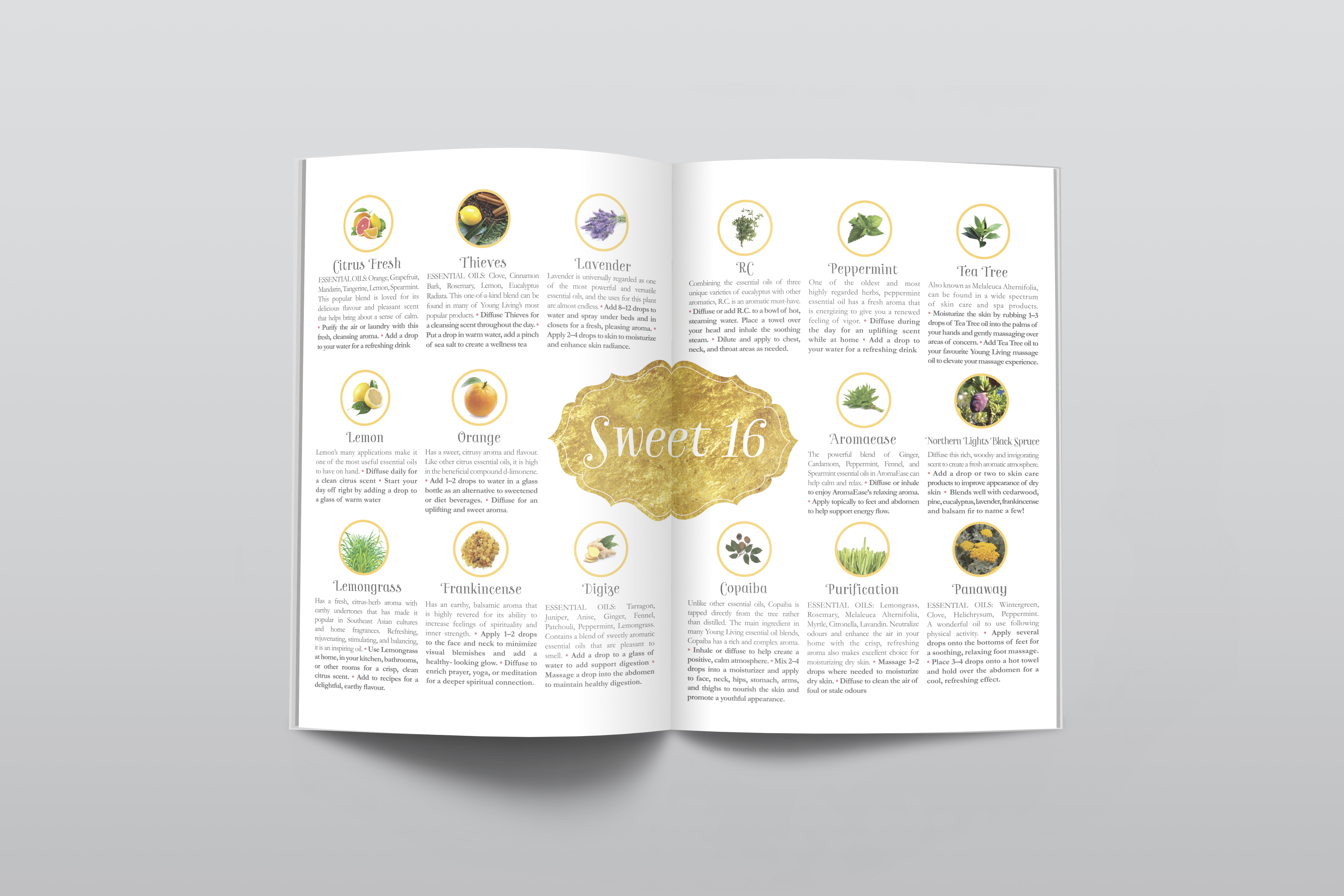 Booklet Design - Nested Essentials