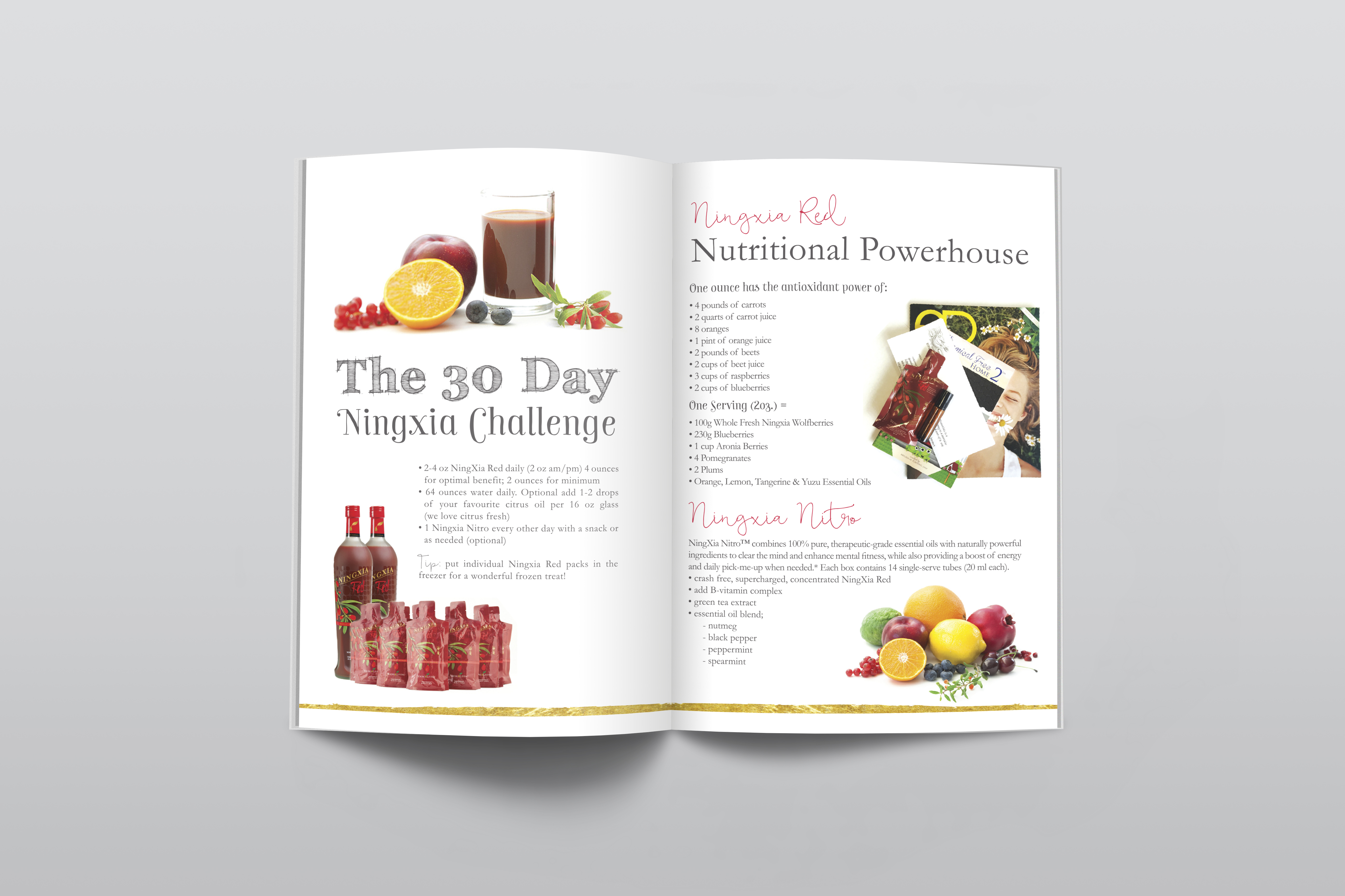 Booklet Design - Nested Essentials