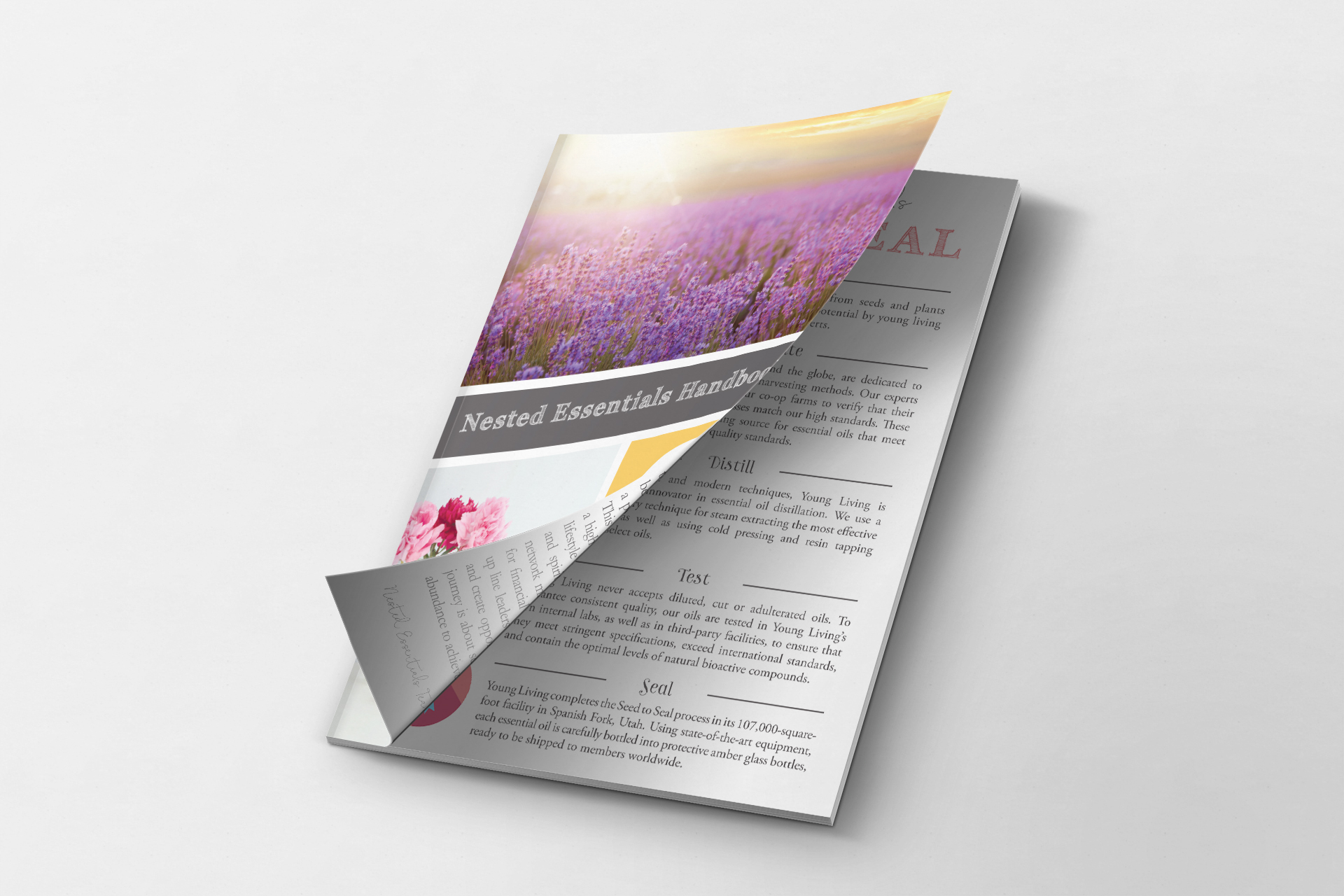 NestedMAGcurledCover