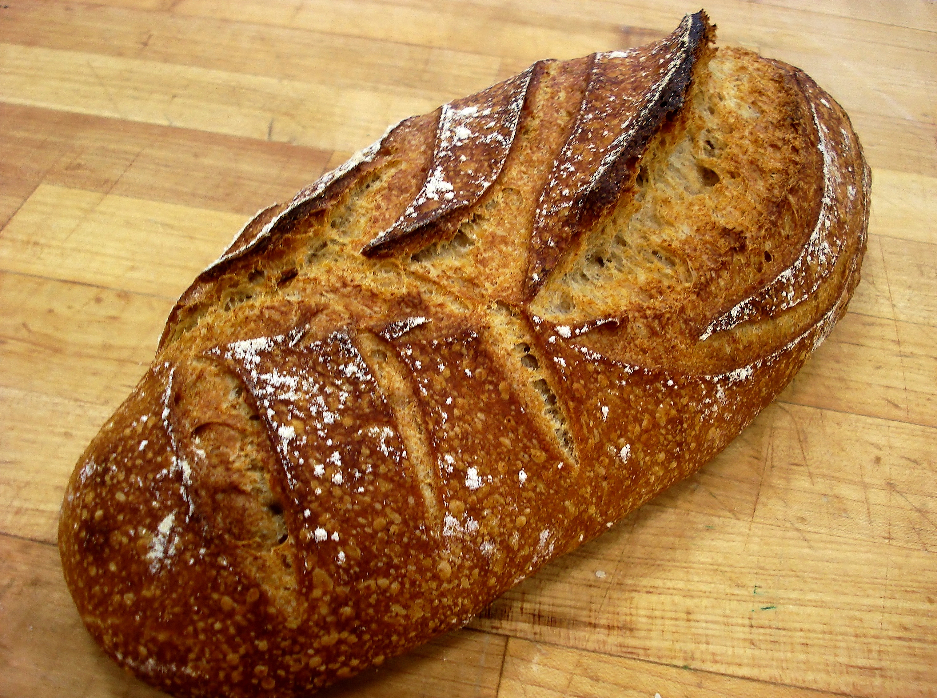 Whole-Wheat Bread