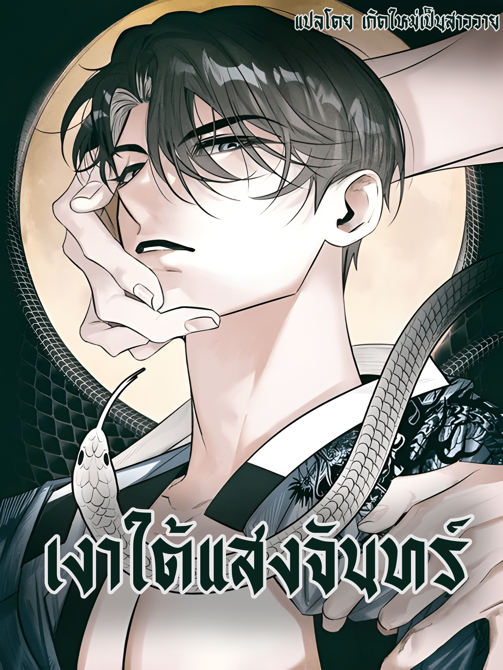 อ่านMoonlight Projection อ่านมังงะMoonlight Projection