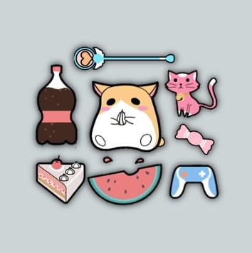 Accessoires