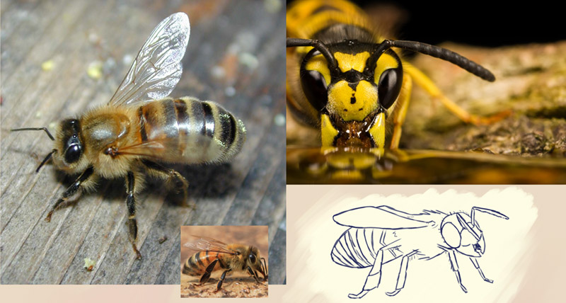 как рисовать раскадровку к манге