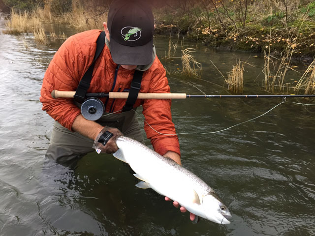 Camo Patch Hat Fle Fly Tackle - Best Light Photos in Retina