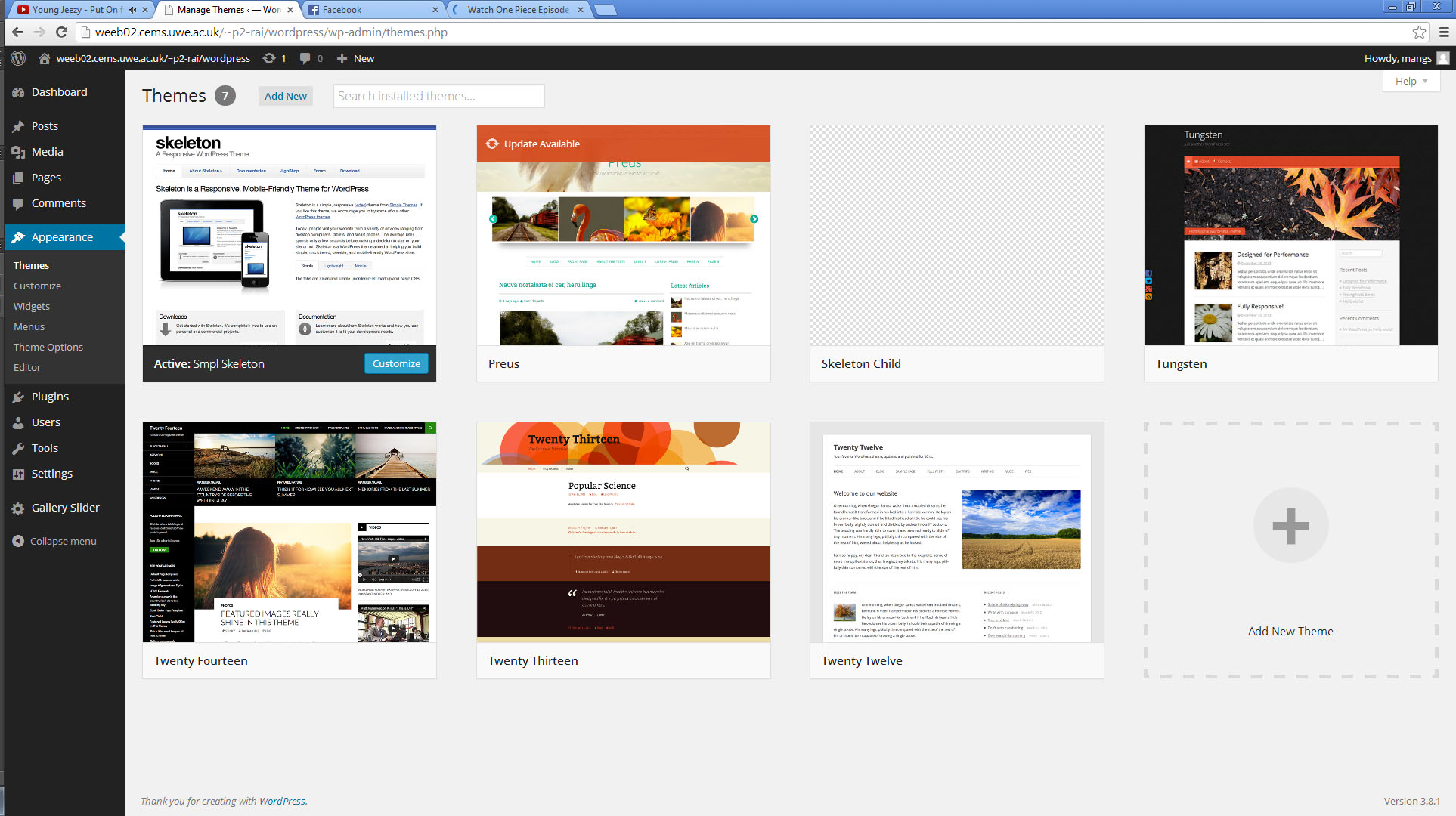 Appearance selection of themes in the dashboard