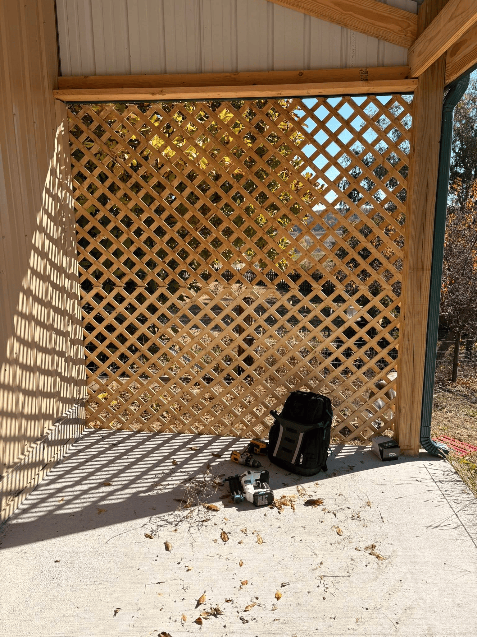 Lattice