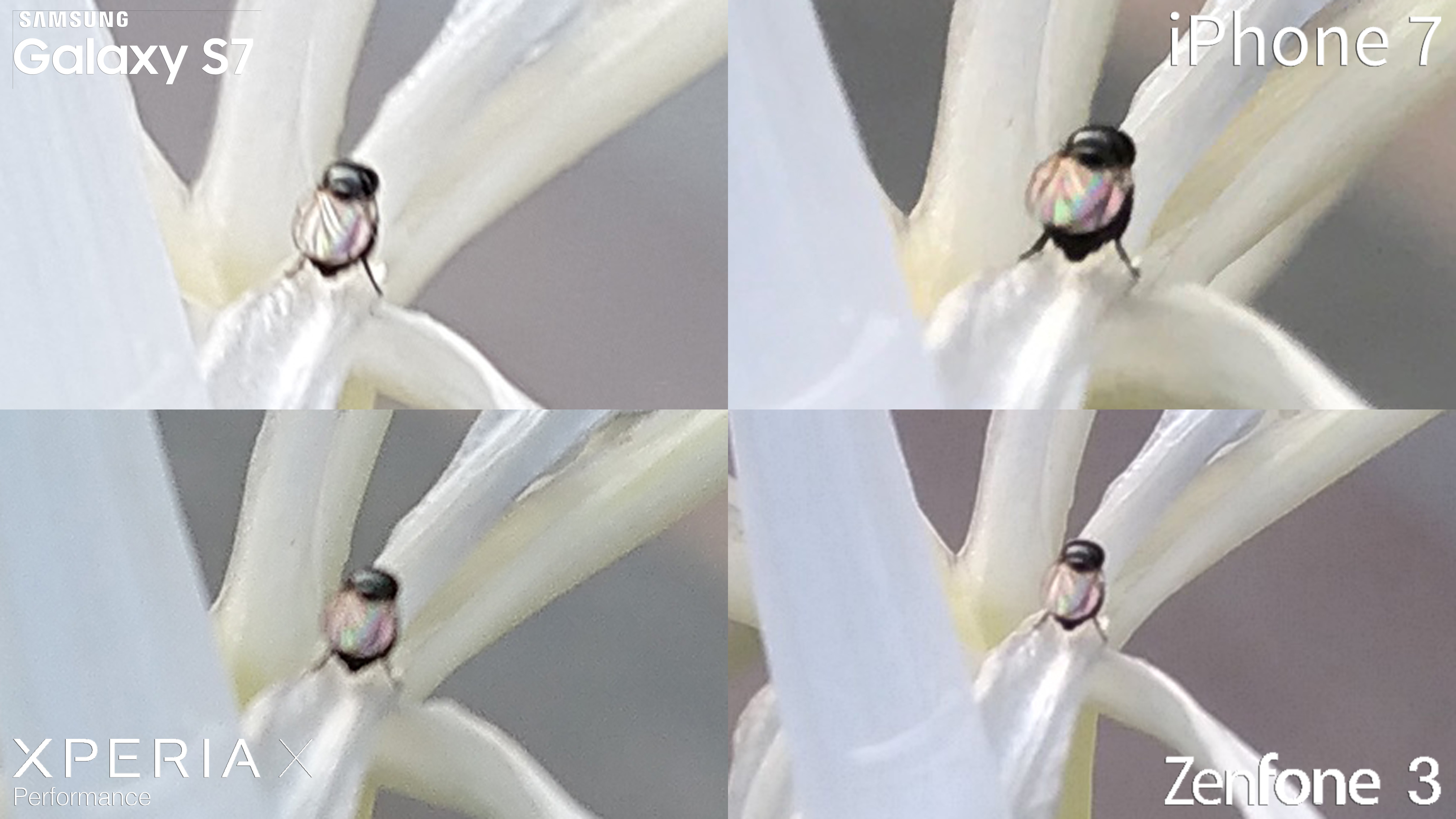 iPhone 7 vs Samsung Galaxy S7 Sony Xperia X Performance Asus Zenfone 3 Camera Comparison Review macro close up