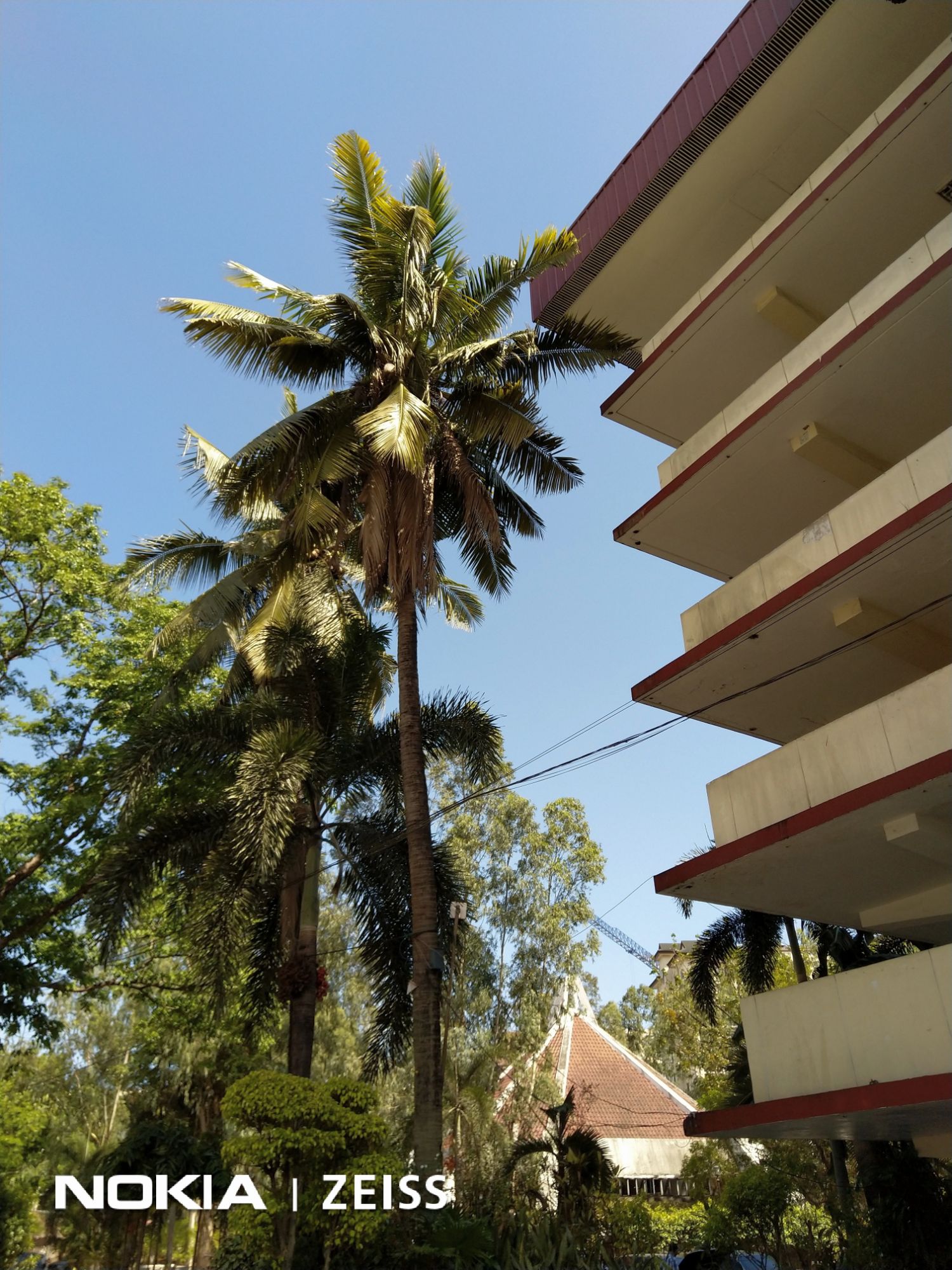 Nokia 7 plus vs Huawei Mate 20 Pro Camera Comparison