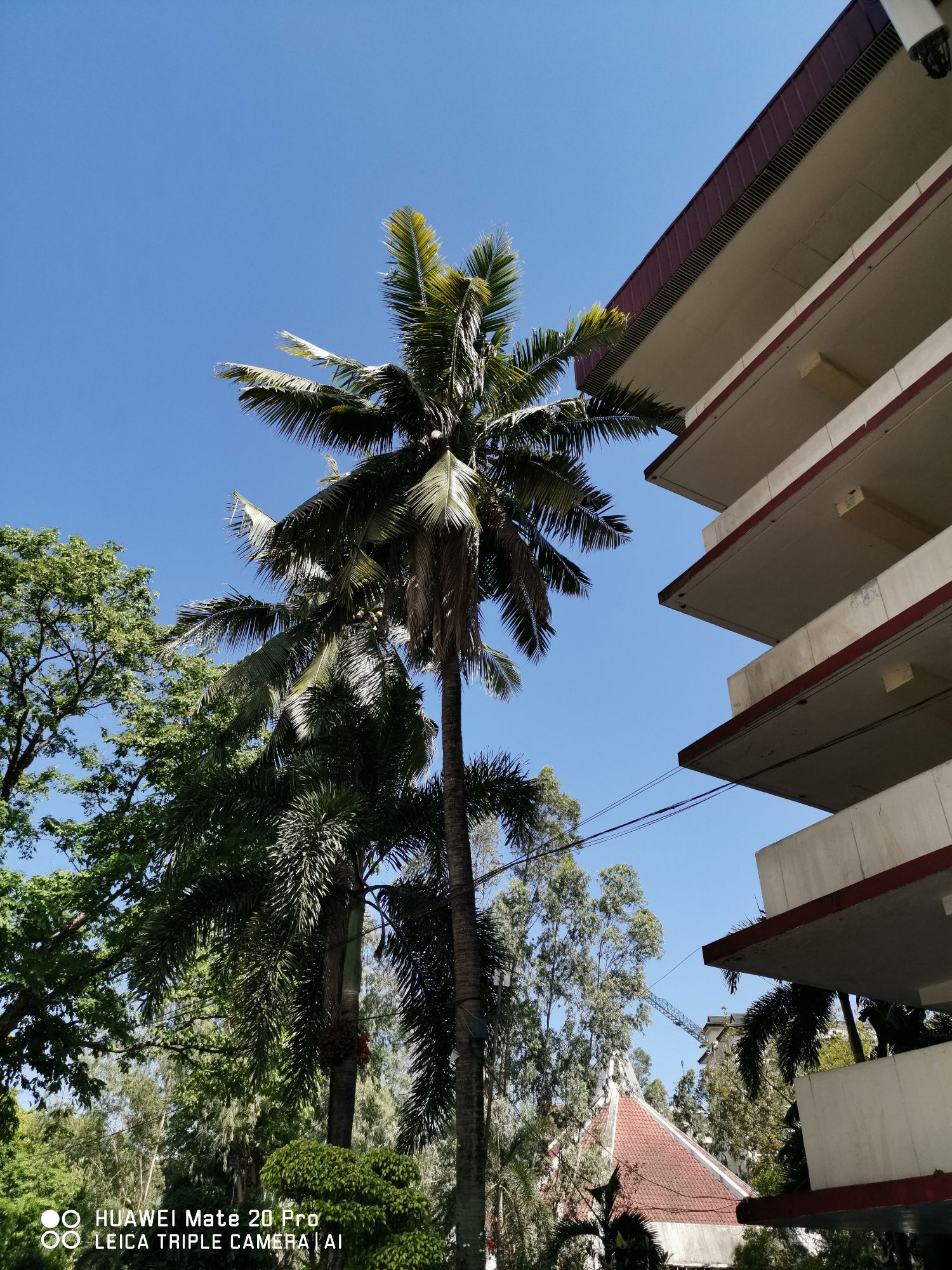 Nokia 7 plus vs Huawei Mate 20 Pro Camera Comparison