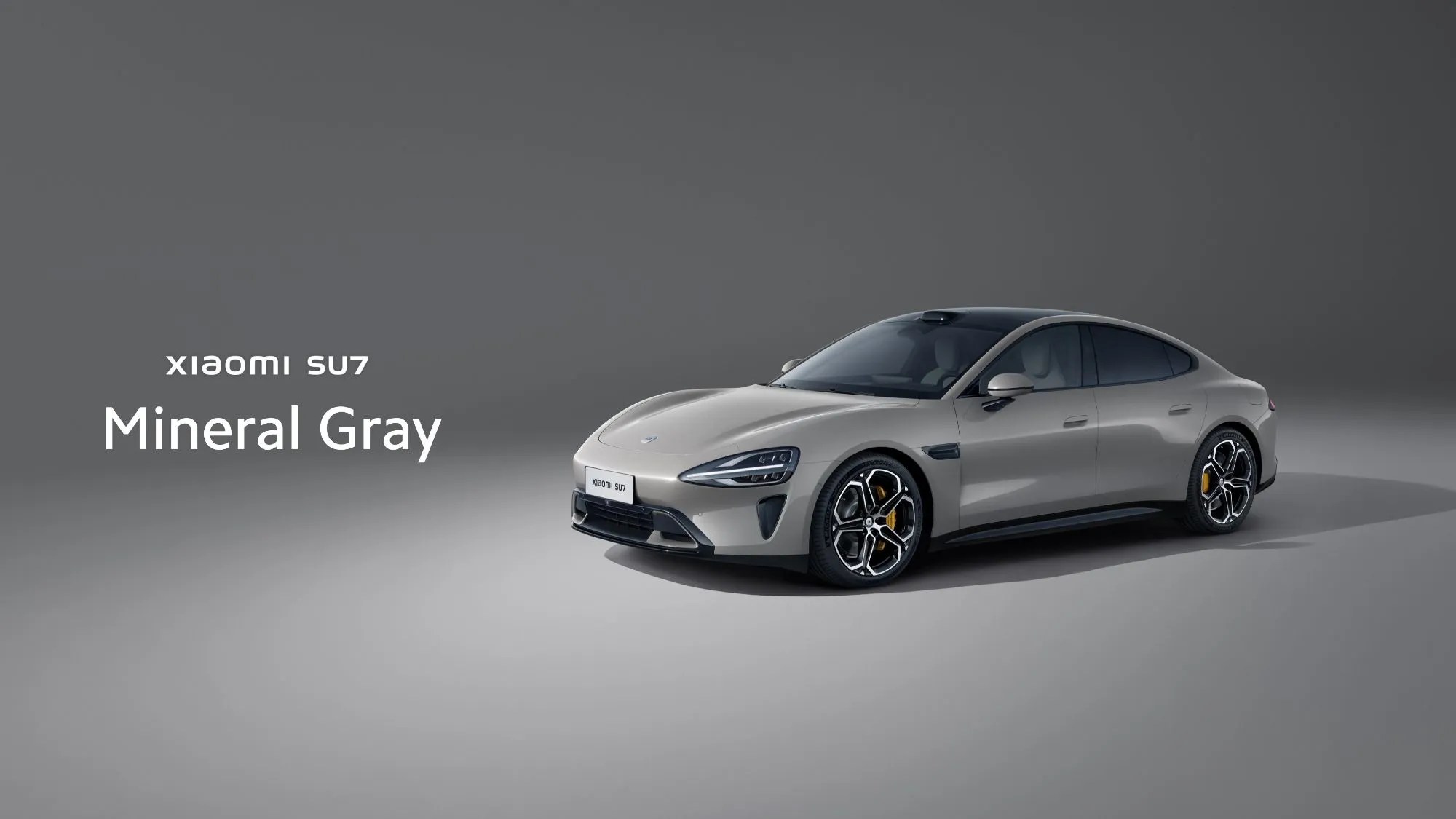 Mineral Gray