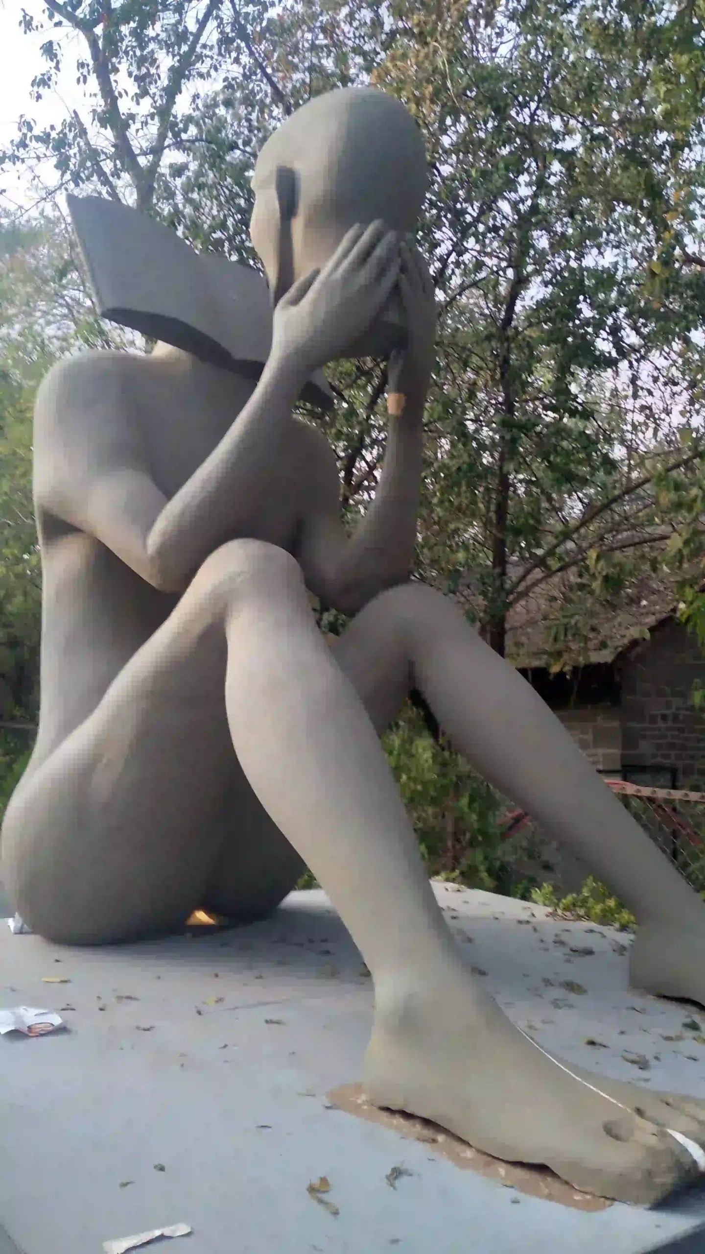 The Joy of Reading: How a Hobby Transformed into a Passion for Blogging