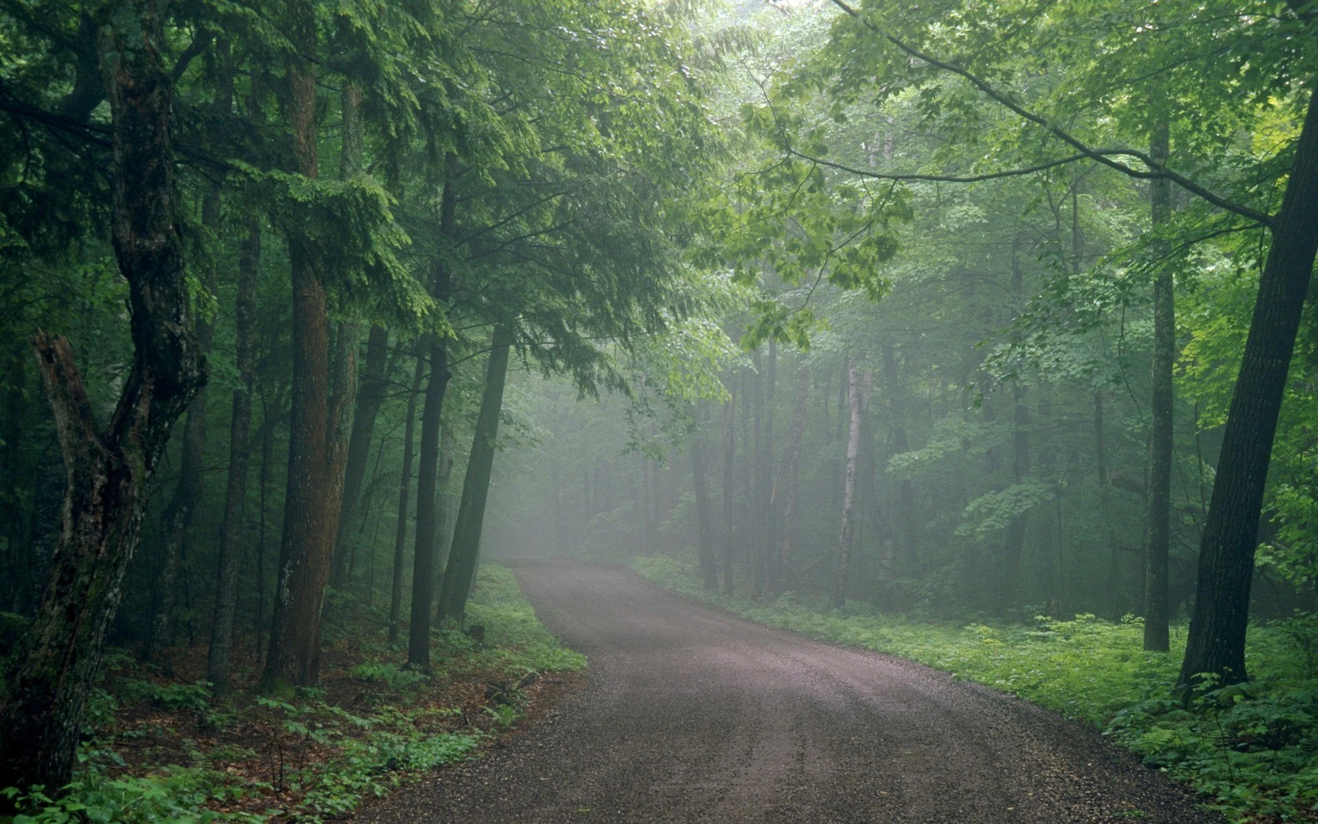 Learn how to stay quiet and not talk using 5 simple, practical strategies.