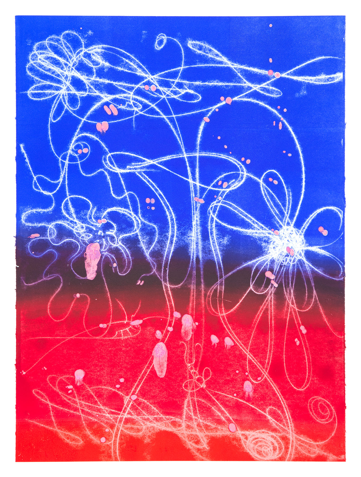 Catherine Howe: "Flower Float No. 13", 2026. Trace monotype with mica and silver pigments, 30" x 22". Published by Manneken Press.