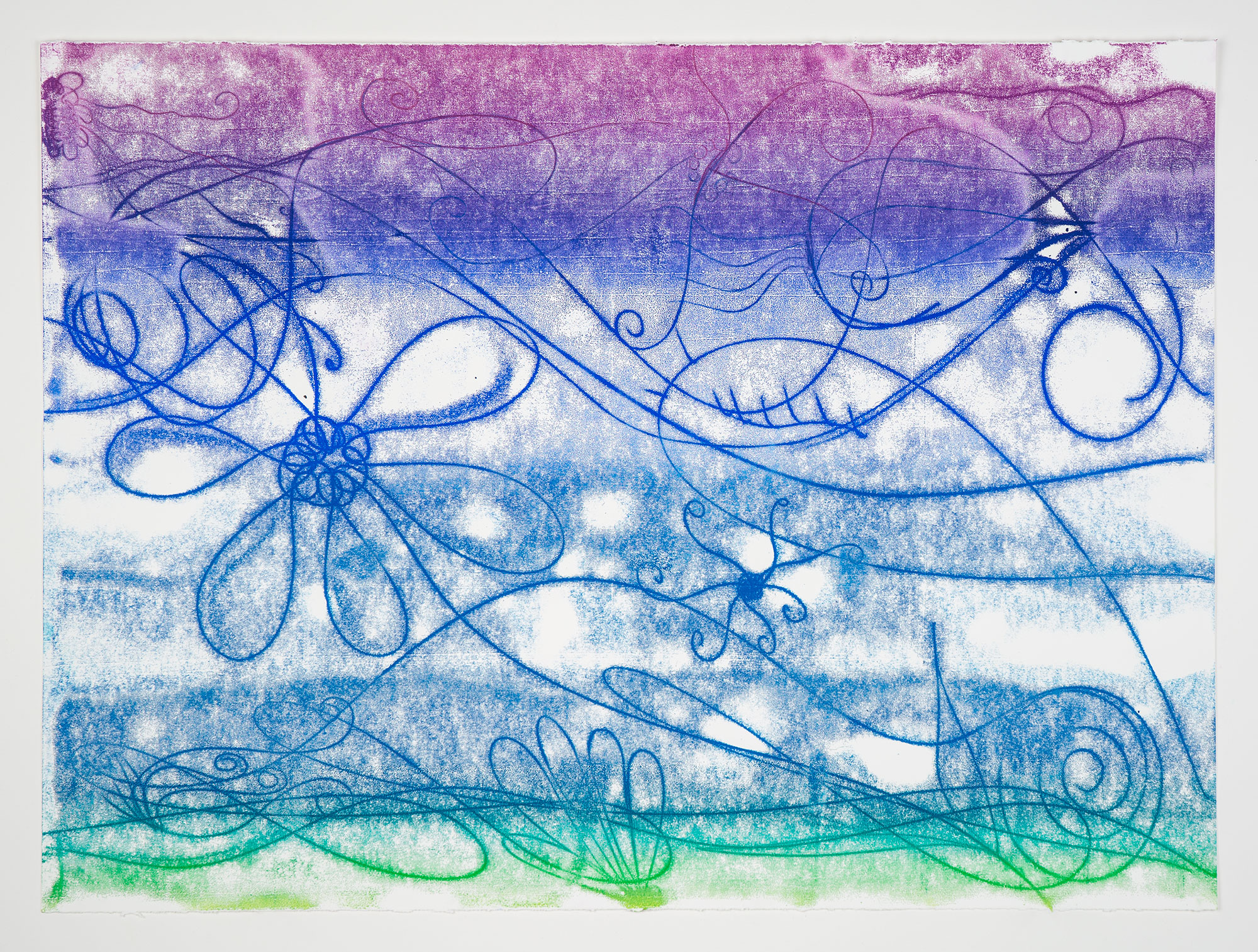 Catherine Howe: "Flower Float No. 1", 2026. Trace monotype, 22" x 30". Published by Manneken Press.