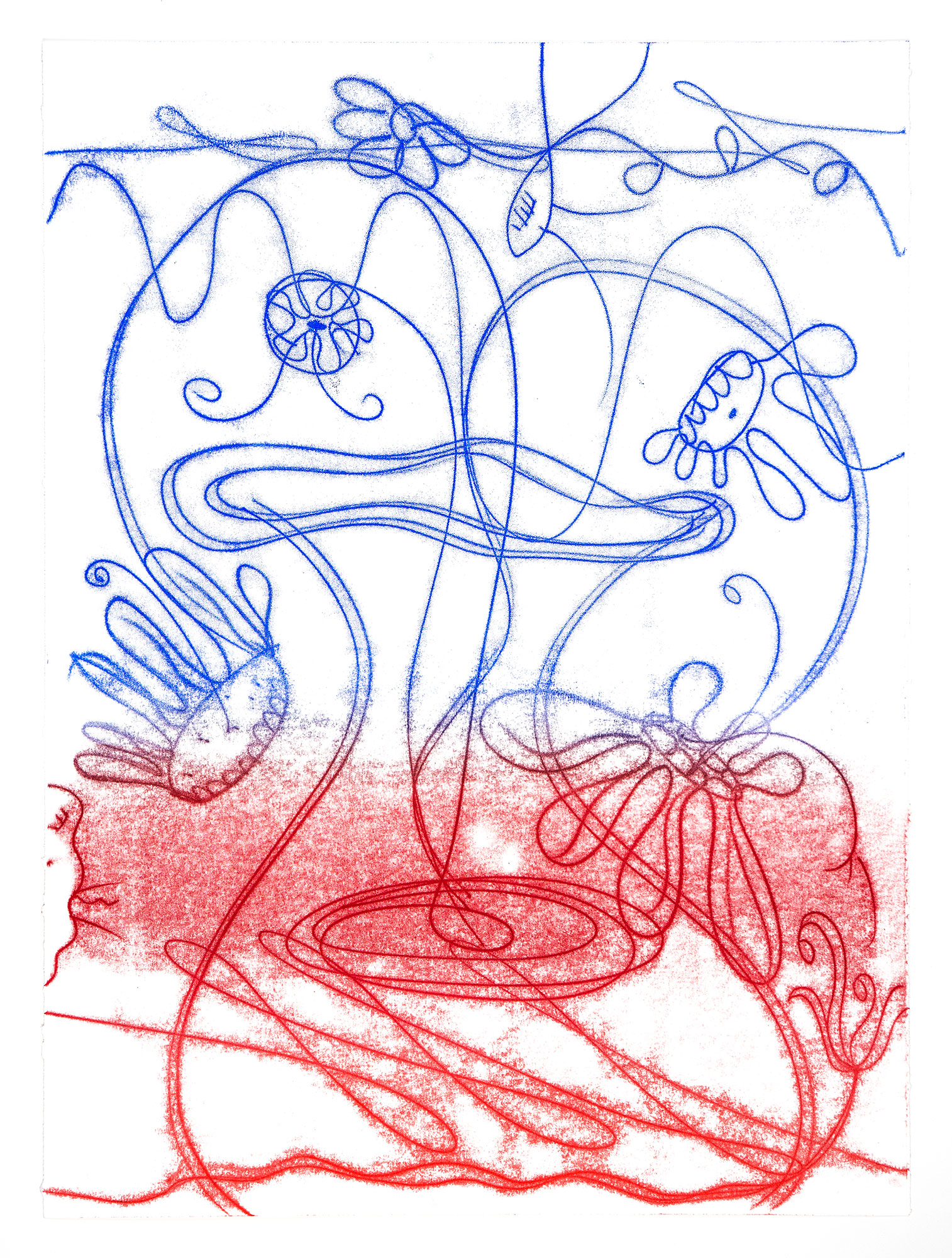 Catherine Howe: "Flower Float No. 3", 2026. Trace monotype, 30" x 22". Published by Manneken Press.