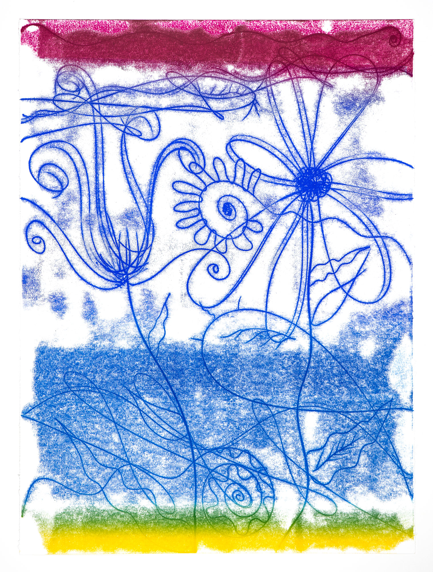 Catherine Howe: "Flower Float No. 4", 2026. Trace monotype, 30" x 22". Published by Manneken Press.