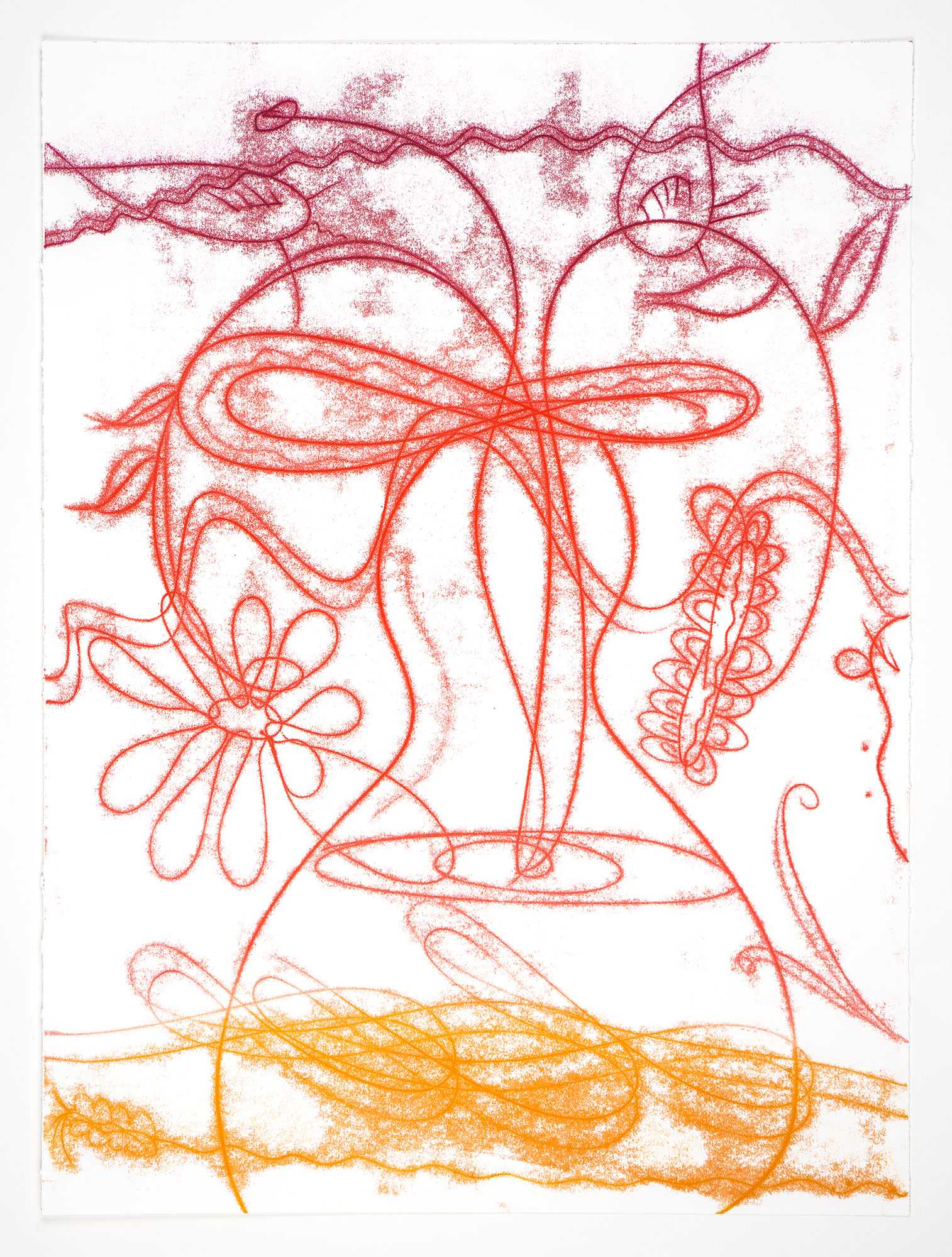 Catherine Howe: "Flower Float No. 5", 2026. Trace monotype, 30" x 22". Published by Manneken Press.