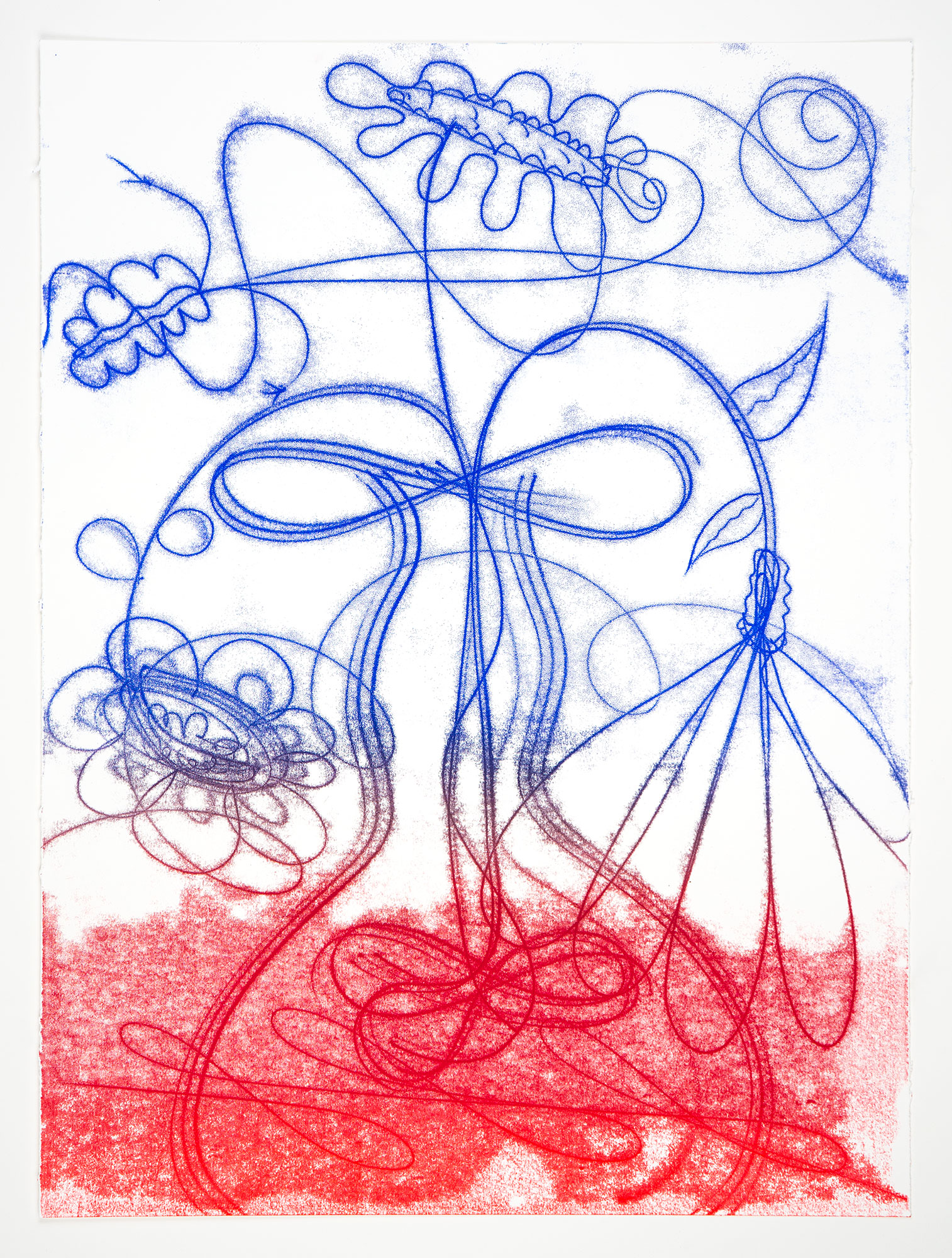 Catherine Howe: "Flower Float No. 7", 2026. Trace monotype, 30" x 22". Published by Manneken Press.