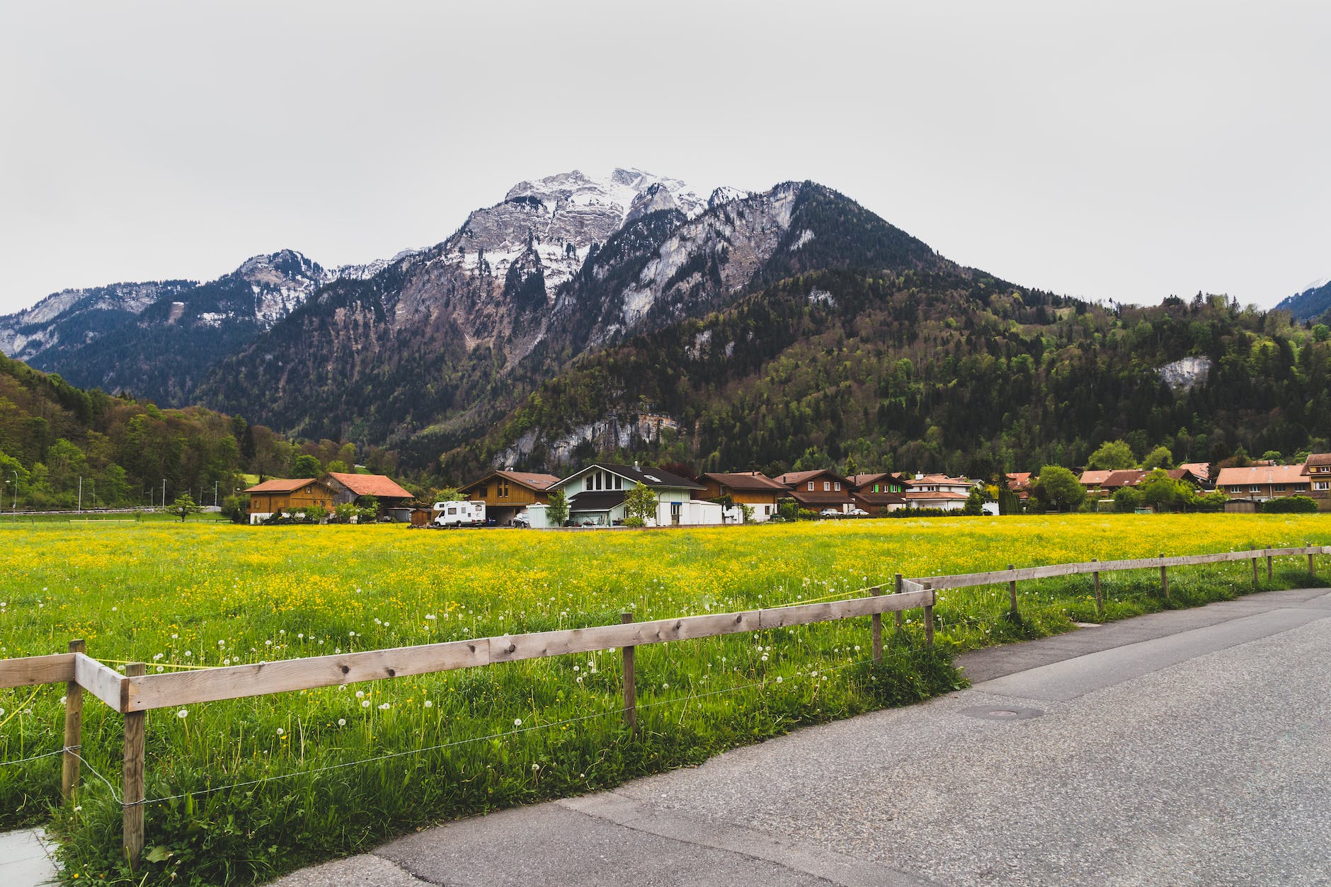 Daily Devotional “Differences in Houses”