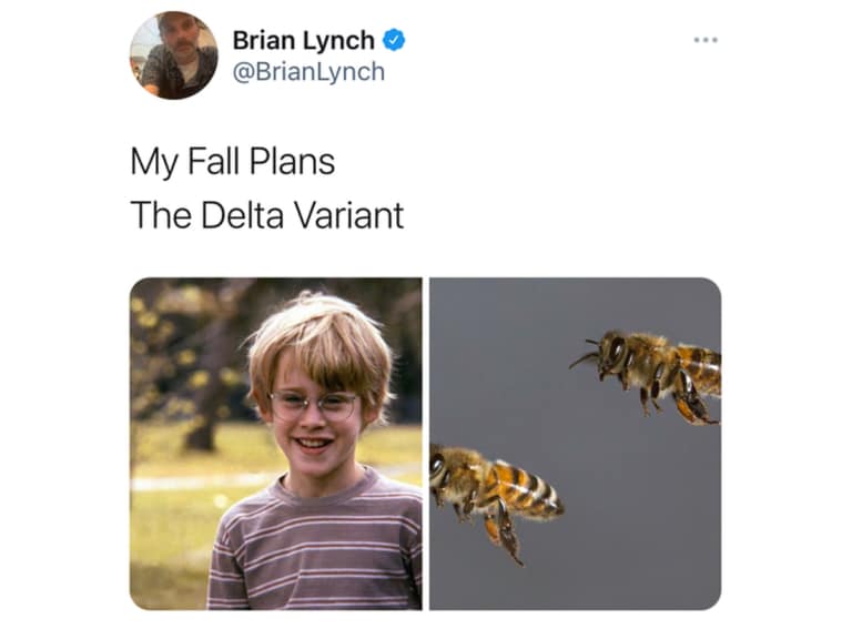 50+ Best My Fall Plans vs The Delta Variant Memes | Man of