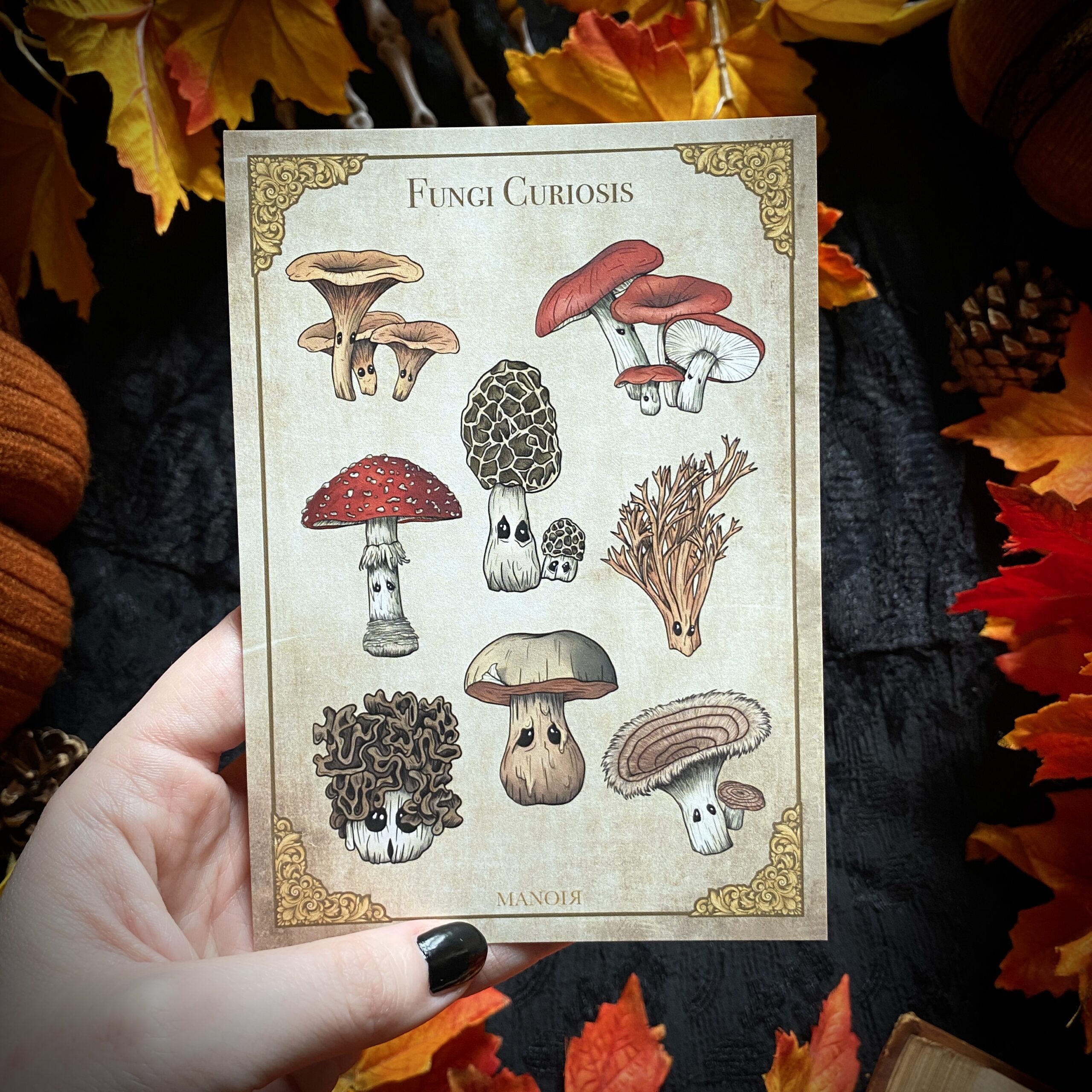 Curieux Champignons. Carte A6 – Image 2