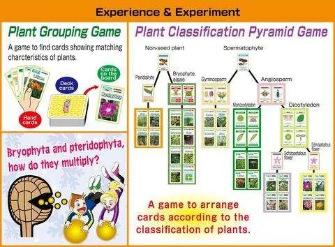 Botanico Card Game And Study Guide 1
