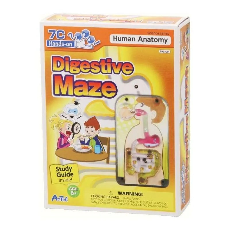 Age 6+ Artec Digestive Maze And Digestion Study Guide